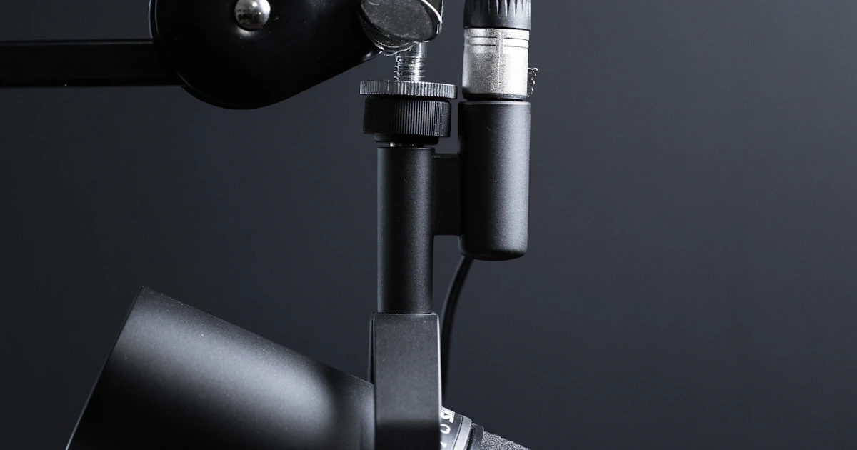 The money gains podcast